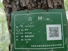 -封龙山风景区