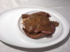 -金狮麟·新豫菜(金码大厦店)