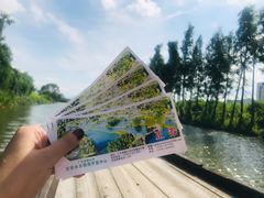 -江门古劳水乡旅游区