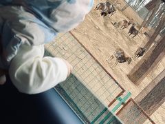 -秦皇岛野生动物园
