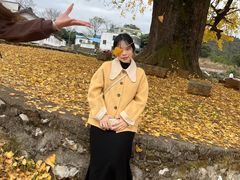 -广东茂名森林公园