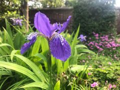 -洛阳周公庙博物馆