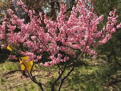 -长辛店二七公园