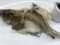 -御彩酒家(东风东路店)