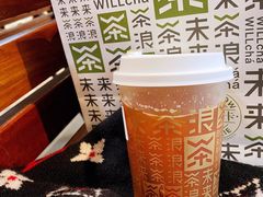 青柠博士x GABA-WILLcha未来茶浪(朝阳大悦城店)