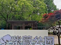 -紫薇公园
