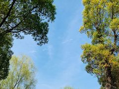 -九科绿洲