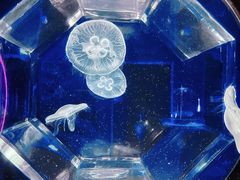 -北海海洋之窗