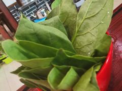 -八宝牛潮汕鲜牛肉火锅(净月店)