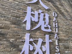 -大槐树寻根祭祖园