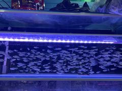 -三旗百汇商品城