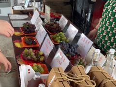 -马陆小张葡萄园农家乐