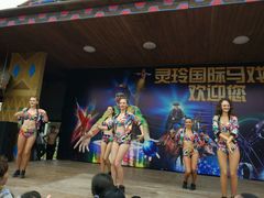 -灵玲国际马戏城