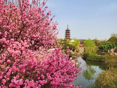 -盘门景区