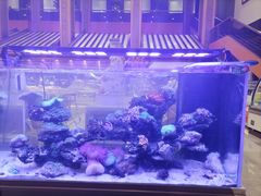 -舜耕山庄四时万和自助餐厅