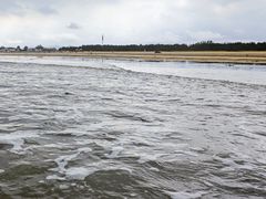 -日照海滨国家森林公园