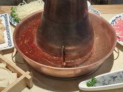 -东镇老火锅(长春路首店)