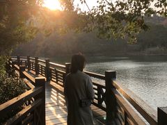 -白马涧龙池景区