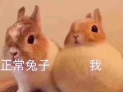 -肯德基(新八一店)