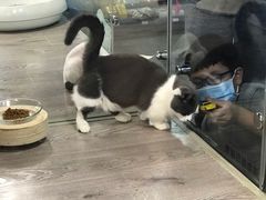 -宠物世家(仲盛世界商城店)
