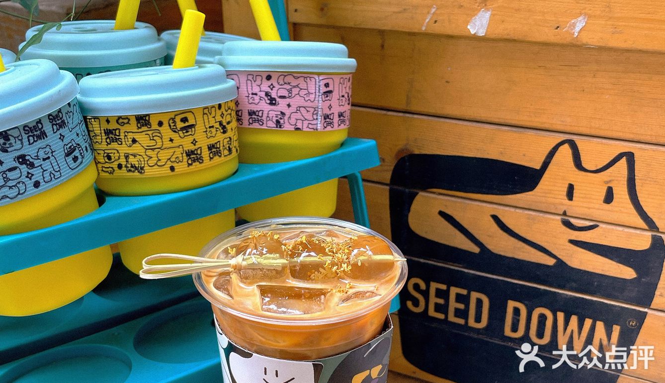 为了杯子冲了一波seeddown咖啡