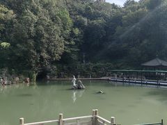 -陶祖圣境风景区