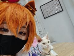 -楼上猫咖(罗湖店)