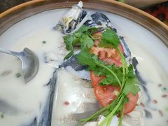 -全乐鱼馆·淳牌有机鱼直营店