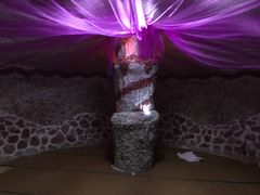 -水晶之星洗浴温泉汗蒸