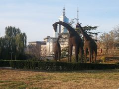 -莲花池公园