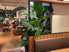 -Wagas沃歌斯(枫蓝国际店)