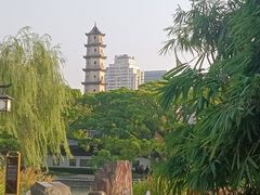-江心屿景区