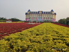 -百万葵园
