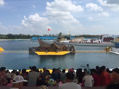 iphone_upload_pic-秦皇岛乐岛海洋王国