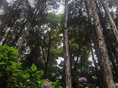 -寂照庵