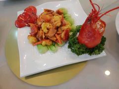 澳洲龙虾-鹏天阁酒楼·海鲜(红旗店)