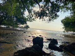 -宝安西湾红树林湿地公园