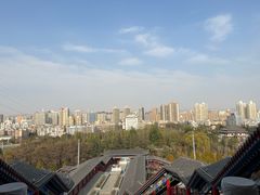 -金城公园