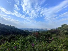 -火炉山森林公园