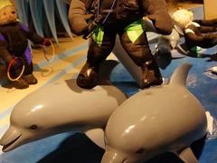 -成都泰迪熊博物馆