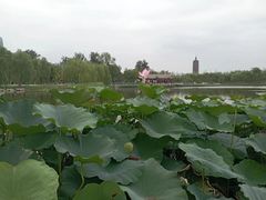 -西海子公园