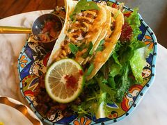 Taco鲷鱼墨西哥夹饼-the rug 飞毯 (朝阳公园店)