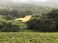 -杭州西湖风景名胜区-三生石