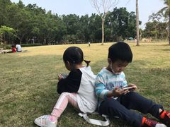 -银湖山郊野公园-相思林