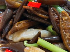 -魚當家