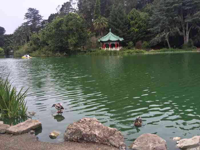 史托湖-"今年春节到过,很多参天大树,不过加州刚发."-大众点评移动版