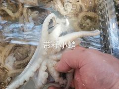 -山海经·海边人家 海鲜新青岛菜(扬州路店)