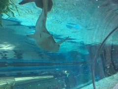 -绍兴梦享海洋公园