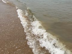 -日照海滨国家森林公园