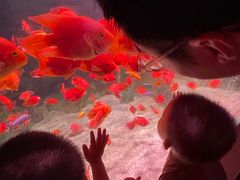 -常州海昌海洋探索馆